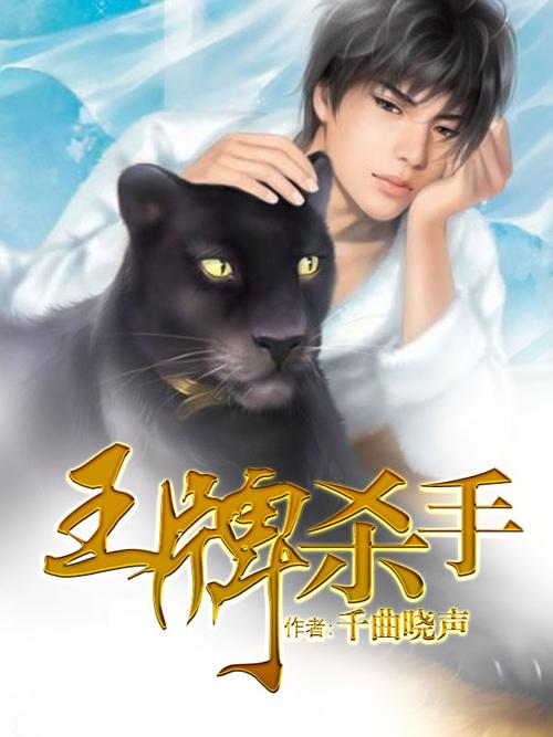 杀手的神话在哪下载 快速找到正版下载地址