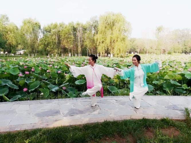 玉莲之剑更新地址变了 快来获取新入口