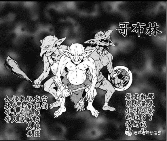 雌性命运召唤杨过游戏怎么玩快速上手教程