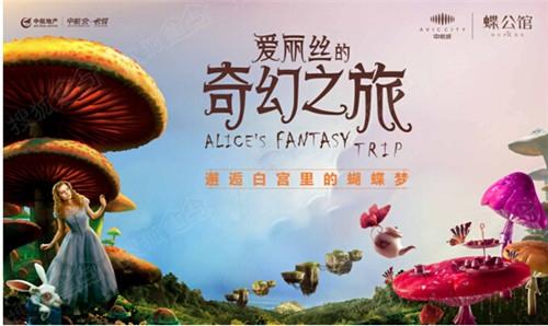 爱丽丝传说最新版本更新 这些内容别错过