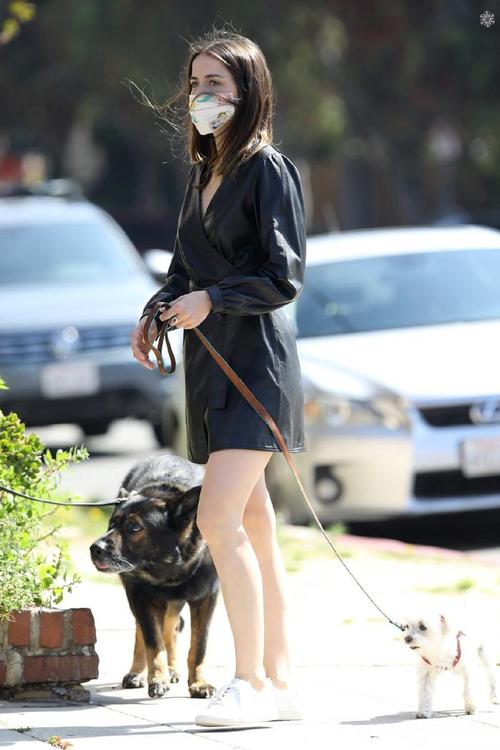 安娜激动人心的感情更新地址完整版在这里