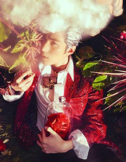 想知道郊区王子最新版本是多少 看这里就对了