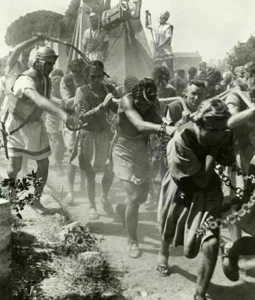 罗马的奴隶官方正式版最新下载地址分享