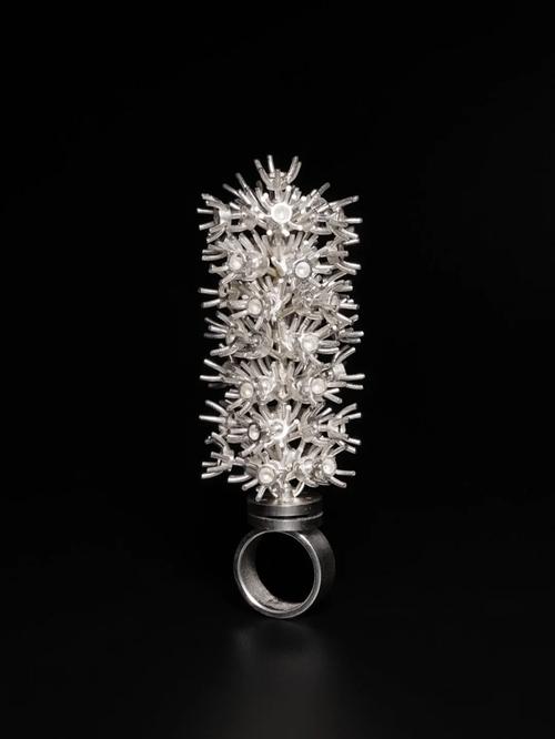 欲望之戒版本大全 了解每一款戒指的特点