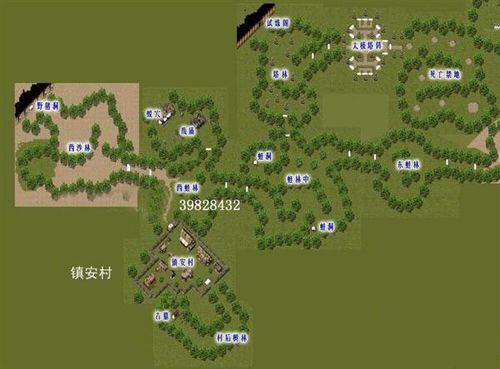 母娘乱馆游戏介绍新手必看的入门指南