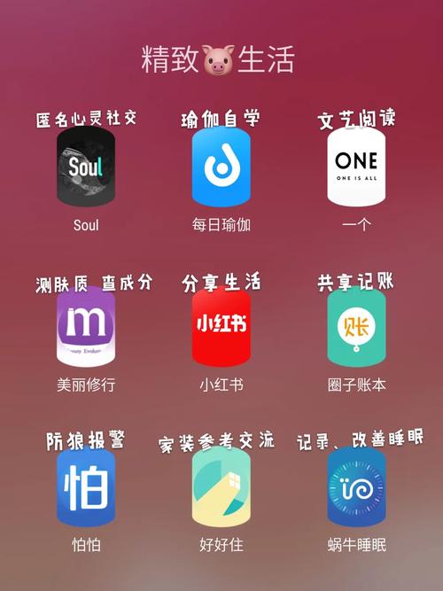 安卓用户必备 新生活计划app下载指南