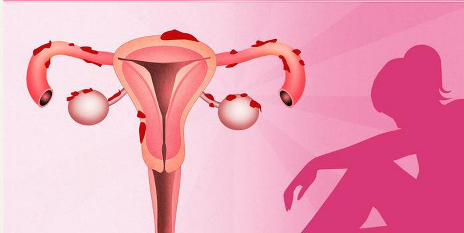 脆弱的女性安卓系统存在哪些安全隐患