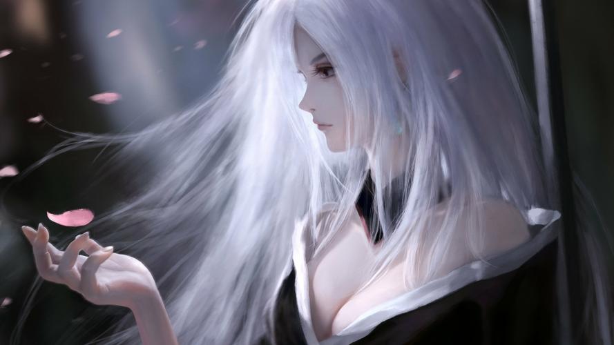 玉莲之剑更新地址变了 快来获取新入口