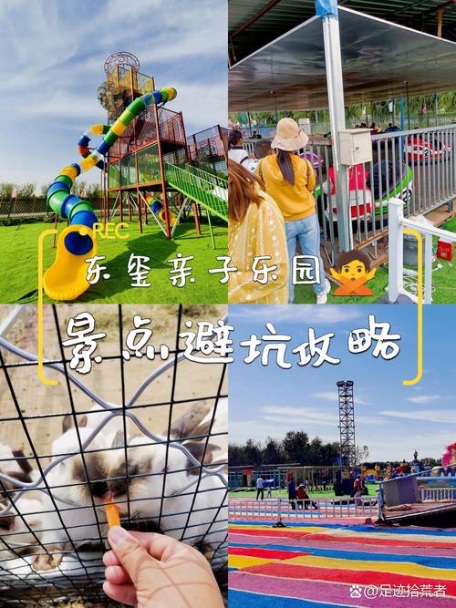 游乐园欲望版本大全亲子游玩最佳推荐指南