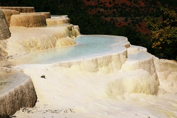 族长安卓版下载安装常见问题解决方法