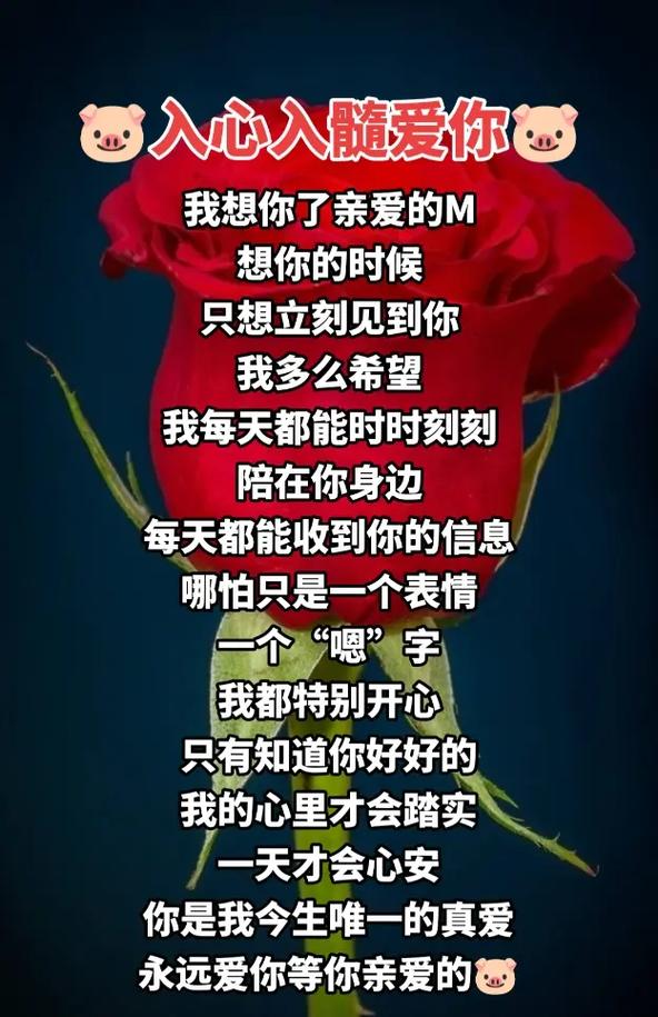 爱相思游戏介绍 如何在这款游戏中找到你的真爱