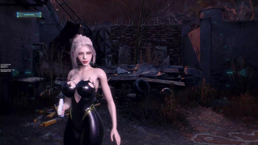 母上攻略4重制版最新版本 画面优化体验更佳