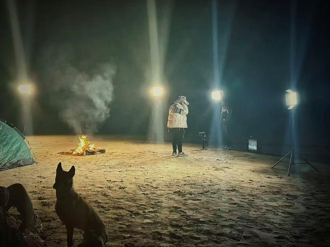 安卓用户必备 人狗情未了高清下载链接