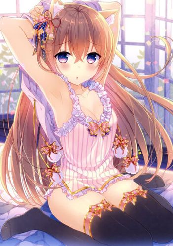 巨乳家族催眠2安卓汉化版本更新内容介绍