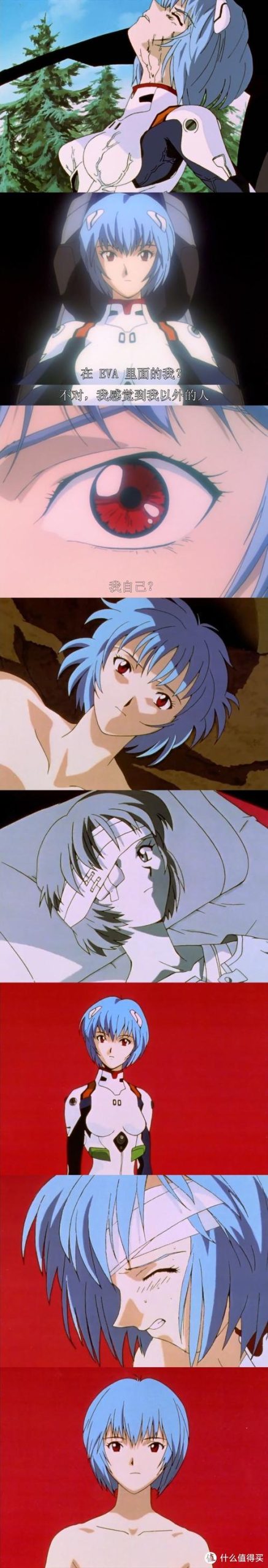 福音的使徒官方网站最新活动与资讯一览