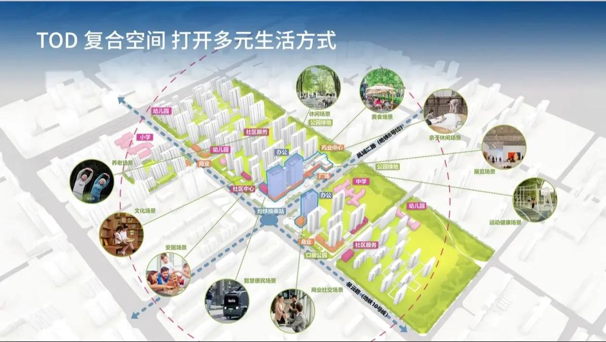 新生活计划游戏介绍特色玩法大揭秘