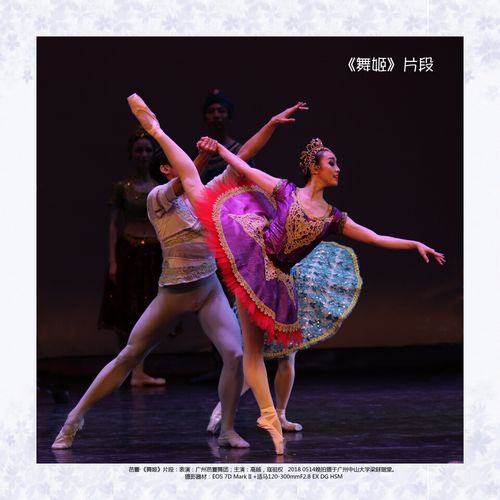 舞姬游戏介绍如何快速提升舞蹈得分攻略