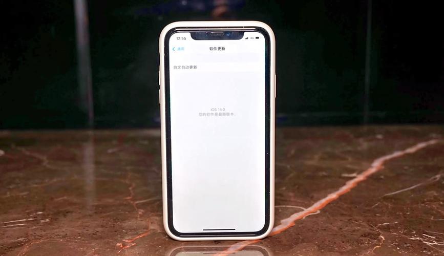 母上攻略1重置版游戏官网常见问题解答与BUG修复