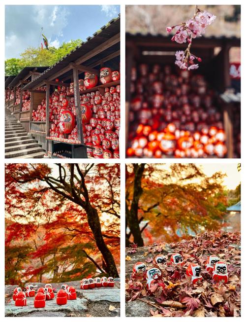 祈愿之旅更新地址在哪里 最新地址分享