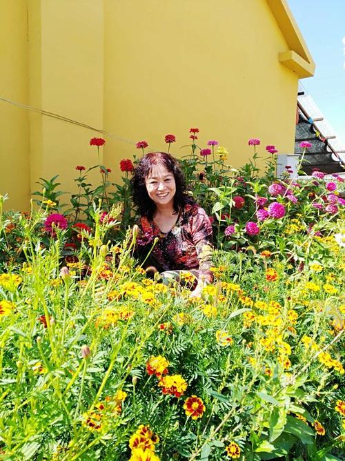 愉快的生活汉化版最新更新内容一览 新增玩法抢先看