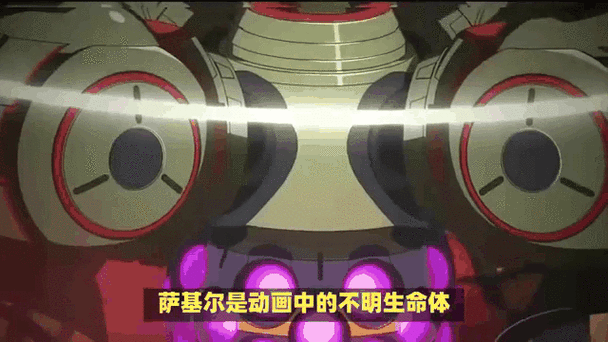 福音的使徒官方网站最新活动与资讯一览