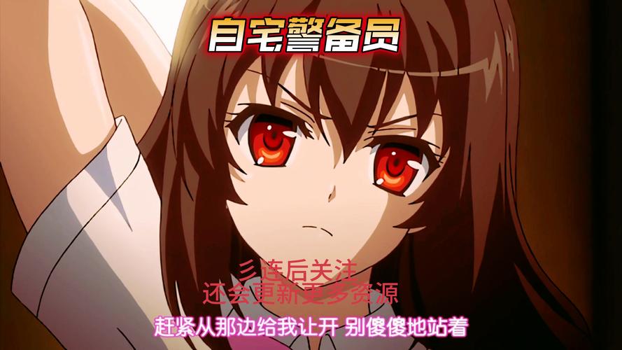 自宅警备员安卓版与其他安防软件对比