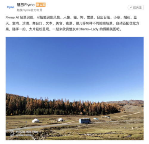 谜月旅途安卓下载教程 小白也能快速安装