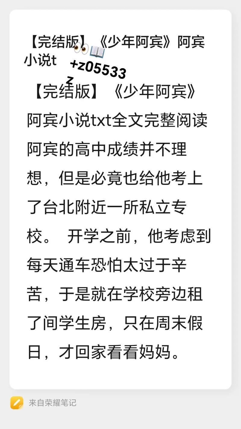 少年阿宾小说如何下载