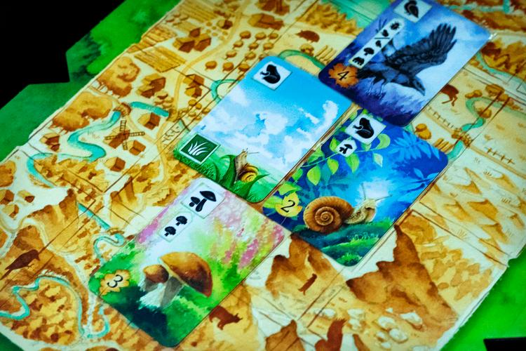 抓到冒险者酱游戏全关卡攻略 隐藏道具收集指南