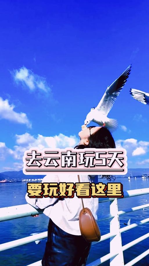 想知道勇气之爱更新地址看这里就对了