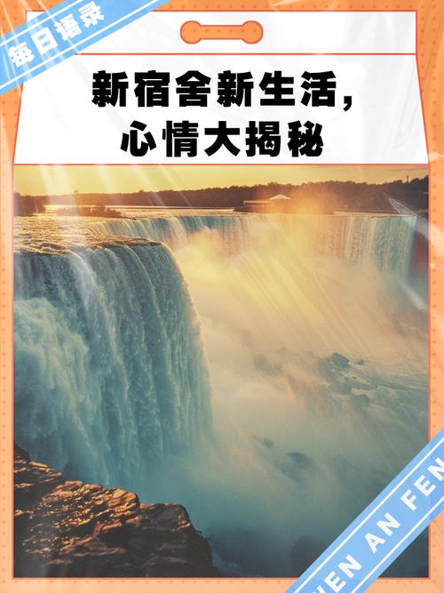 新生活计划官网会员专属福利大揭秘