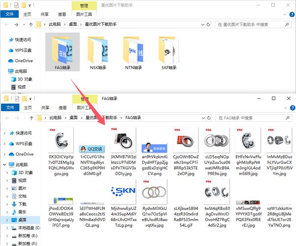 族长在哪下载 最新版本一键获取方法