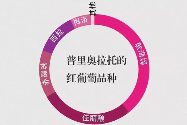 里奥娜老师的宝物最新攻略教你轻松获取方法