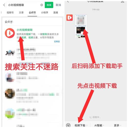 母上攻略3重制版最新版本下载安装教程分享