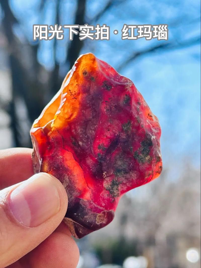 真红玛瑙更新地址官方最新发布速速获取