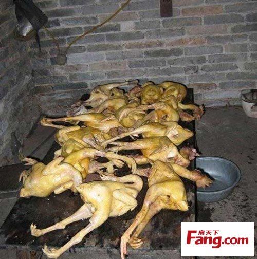 屍更新地址最新发布 快速获取最新访问链接