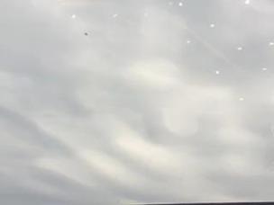 屍在哪下载失败怎么办 常见问题解决方法