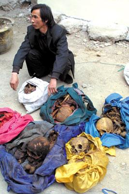 屍更新地址最新发布 快速获取最新访问链接