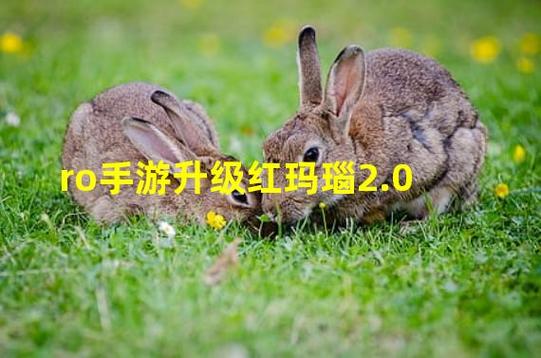 真红玛瑙游戏官网最新版本更新内容解析