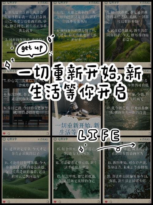 最新版新生活计划官方正式版下载 轻松开启美好生活