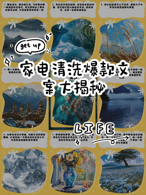 新生活计划官网会员专属福利大揭秘