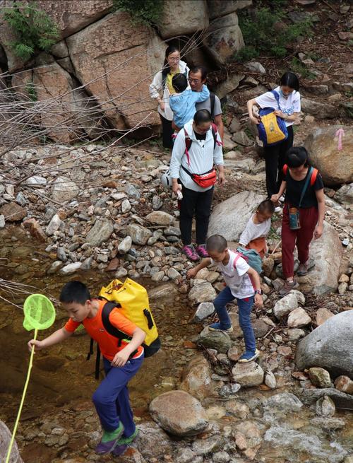 精灵谷安卓手机配置要求 看看你的设备能玩吗