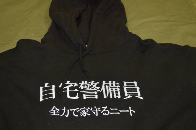 自宅警备员游戏下载方法及注意事项