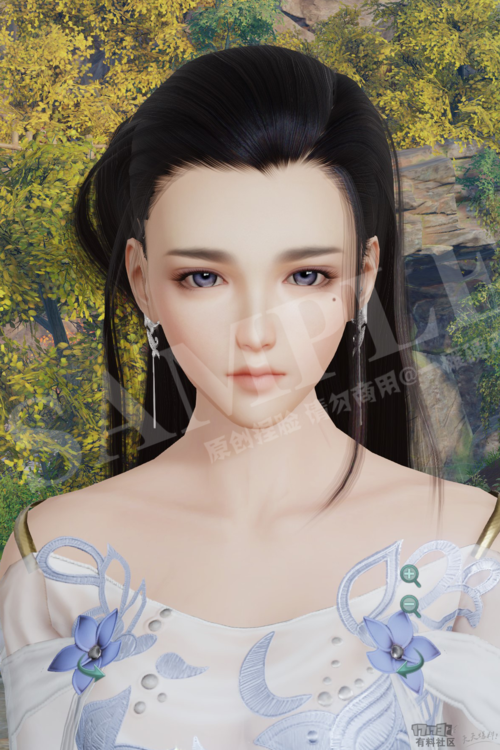 母上攻略4重制版官方正式版下载最新版手机版资源获取