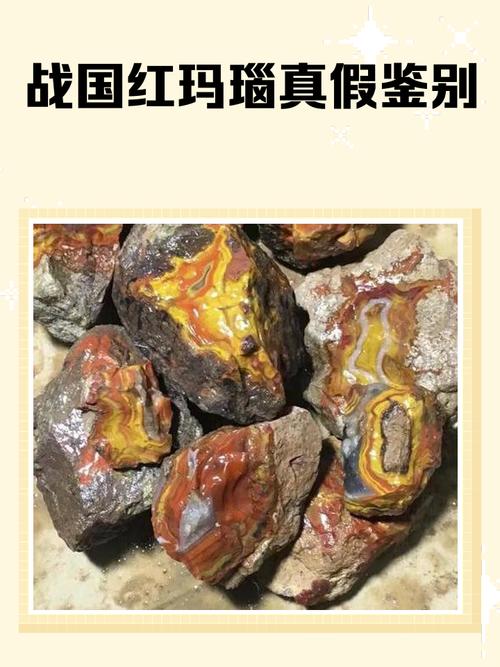 真红玛瑙安卓与其他版本对比分析