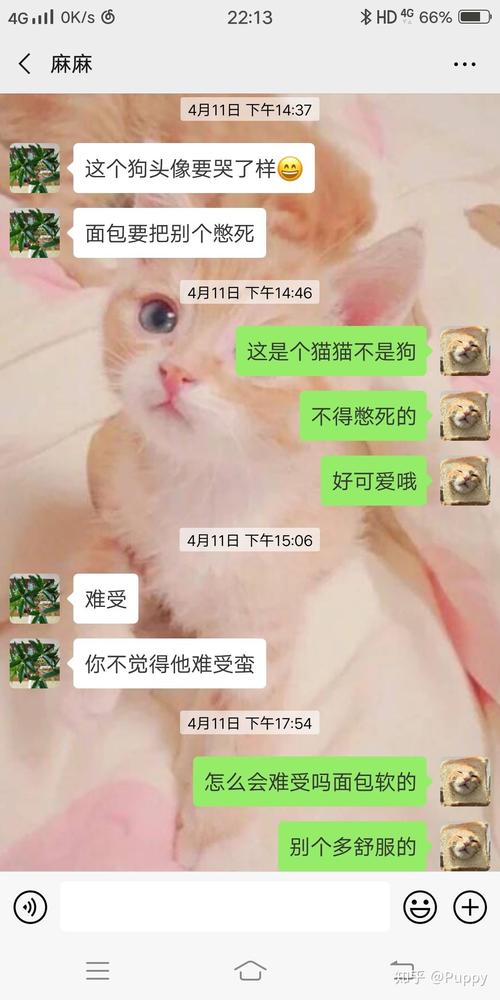 母上攻略4重制版官方正式版下载最新版手机版资源获取