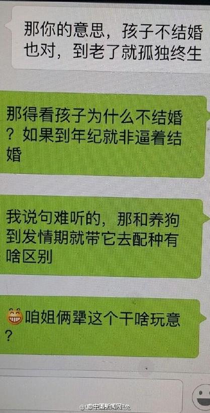 母上攻略旧版合集官方网站攻略技巧全解析