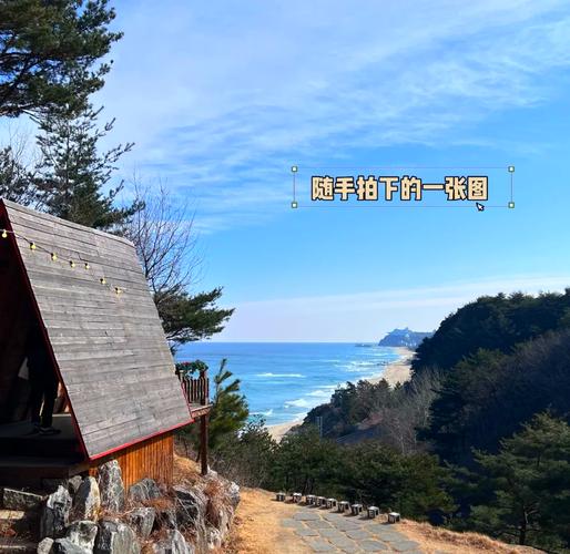 祈愿之旅更新地址在哪里 最新地址分享