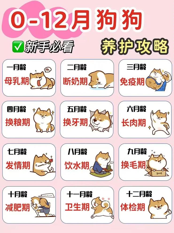 樱姬1-4官网福利领取 新手必看攻略