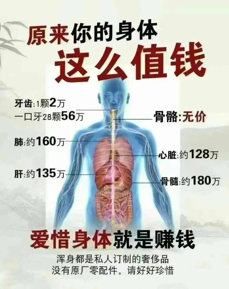 身体薪酬官网带你了解健康投资的回报率